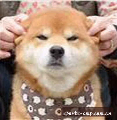 周哥